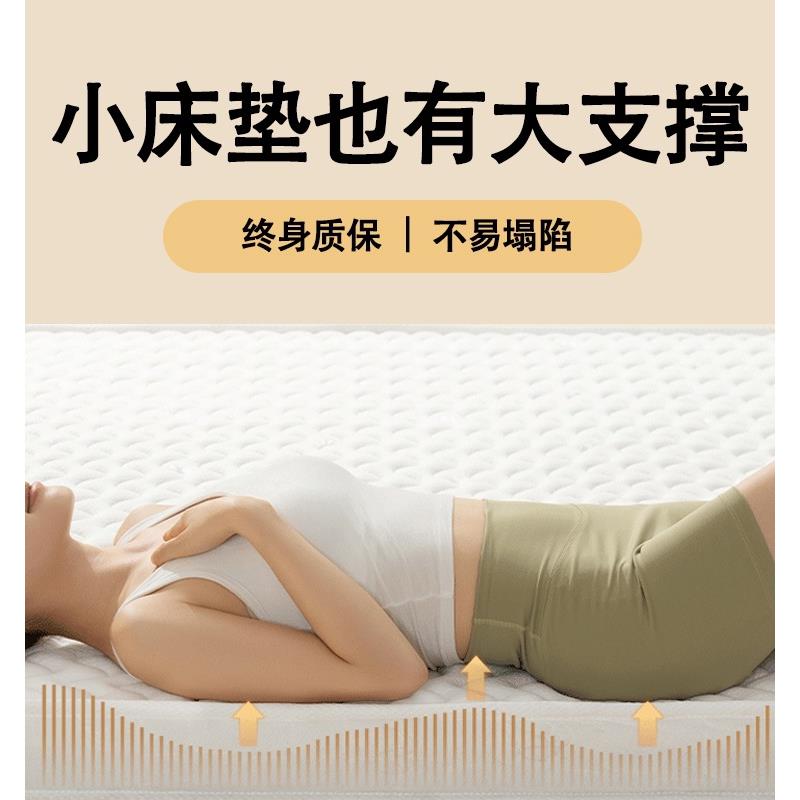 1米2榈床垫棕垫新子偏硬质家用出租房79615c纯m厚加硬天然粽卧室
