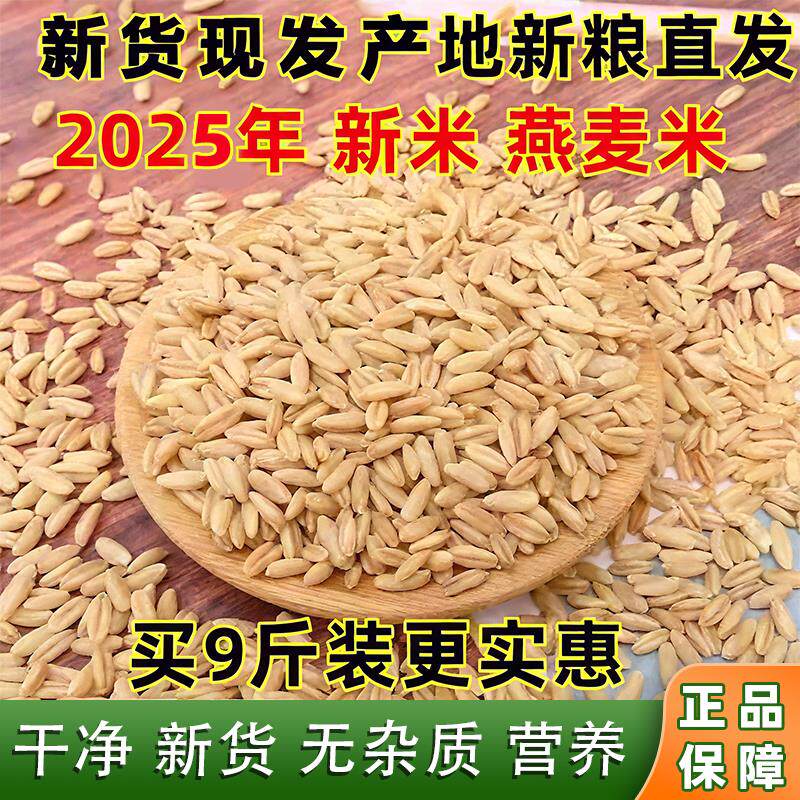 新米燕麦米2024年纯生裸燕麦仁粒莜麦全胚芽米10粗粮商用内蒙古斤