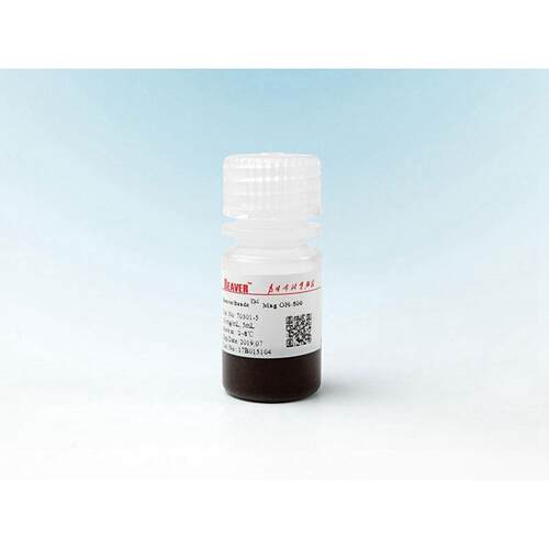 现货Beaver海狸抗体纯化磁珠70804-5琼脂糖材质粒径30-150um