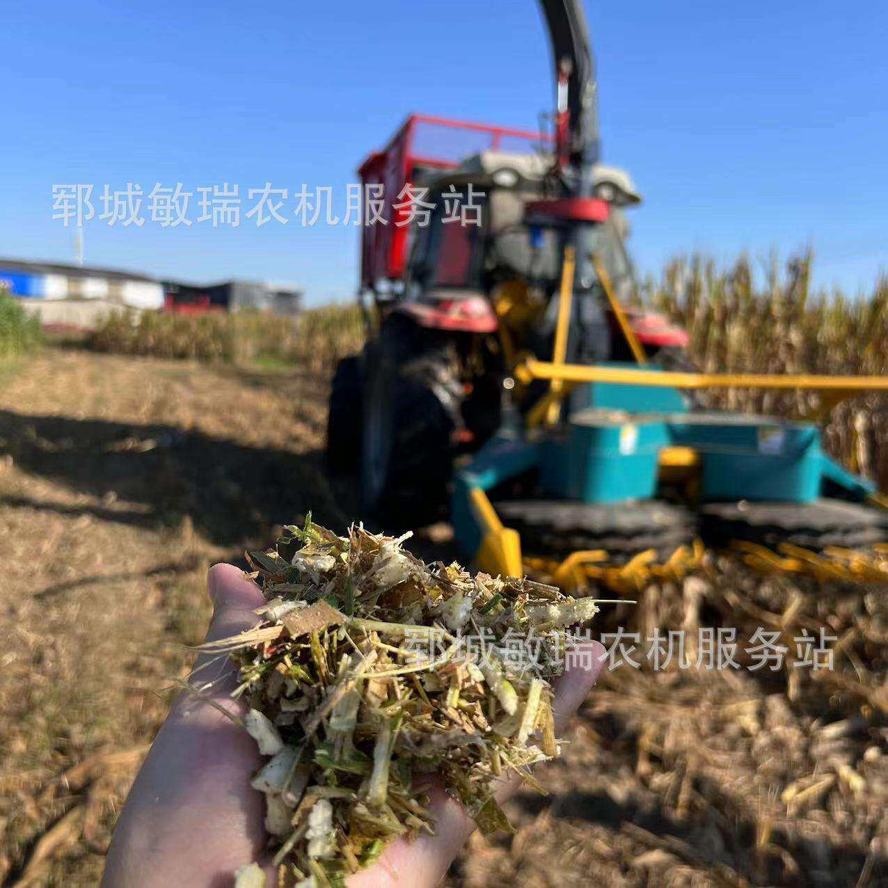 背负式拖拉机款圆盘青储机各种型号籽粒破碎圆盘割台青贮机