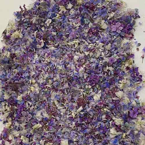 日系小清新混色干花碎花美甲彩色花瓣装饰品指甲配件混装花材