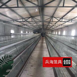 三层四门电镀锌蛋鸡笼使用寿命长养殖场自动化养殖设备厂家直供