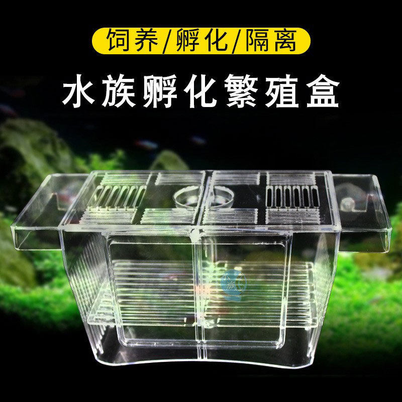亚克力鱼缸繁殖孔雀隔离孵化器