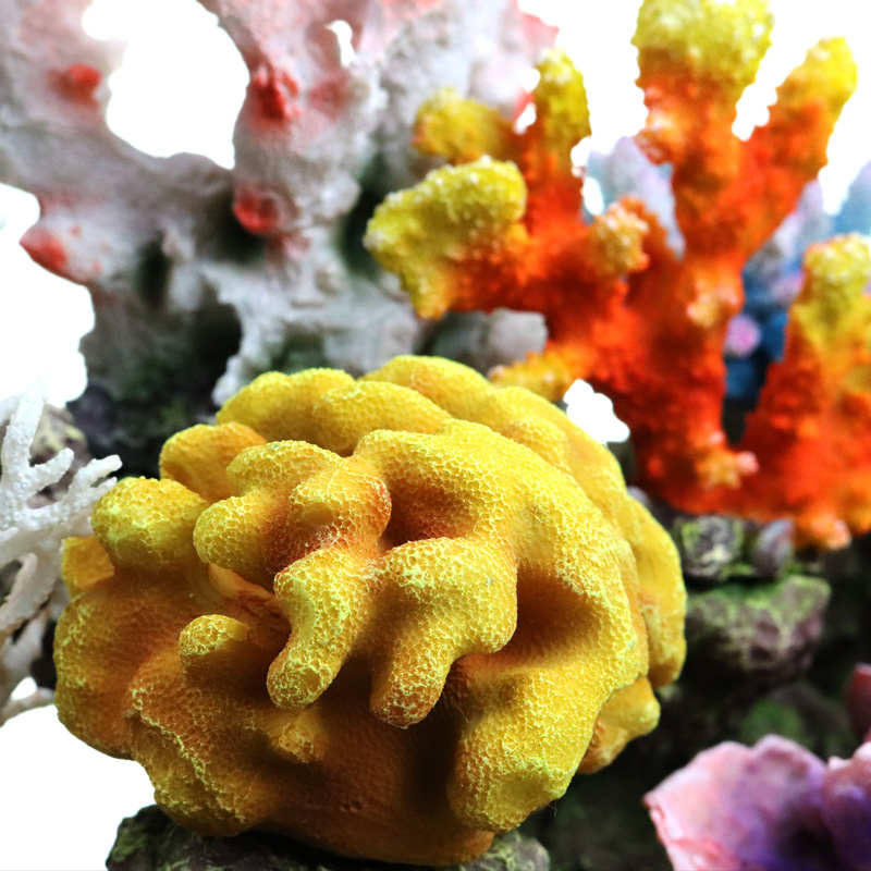 鱼缸假山珊瑚造景 水族箱海水装饰贝壳假水草珊瑚礁水景套餐