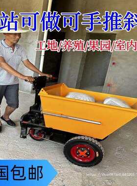 殖场拉粪车翻斗三轮手推电车拉砖拉货平板养搬运工地动灰斗305车