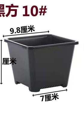 基地加厚方景天白方盆白色盆花盆黑色多育苗批发黑方肉电商盆