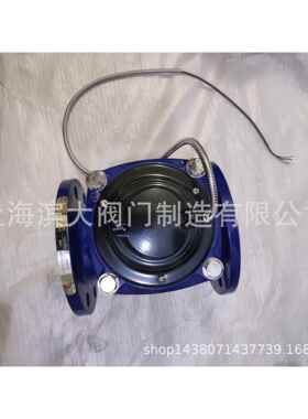 上海滨大远传水表RS485接口法兰水表远光电直读传冷水表DN50