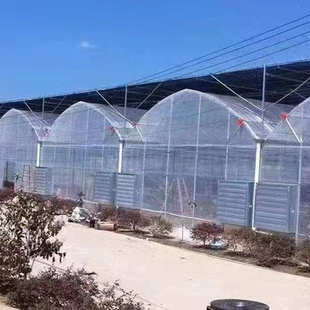 薄膜连栋温室大棚蔬果种植大棚草莓阳光薄膜日光温室花卉养殖大棚