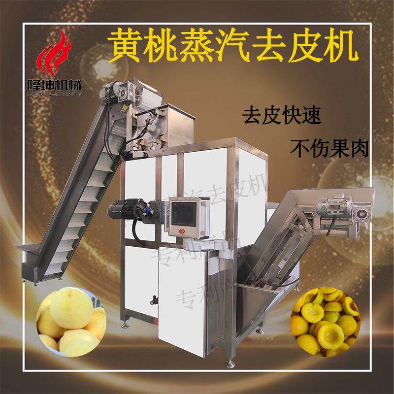 黄桃蒸汽去皮机烫皮机大型去皮设备白桃苹果去皮罐头食品加工