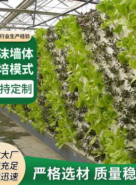 山东链条式泡沫墙体栽培草莓晨蔬高架栽培模式植物园垂吊花草栽培