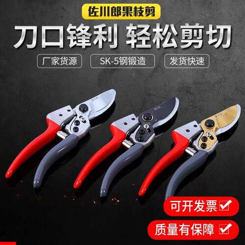 果枝剪省力多用果树剪修枝剪锻造粗枝剪绿化园林工具