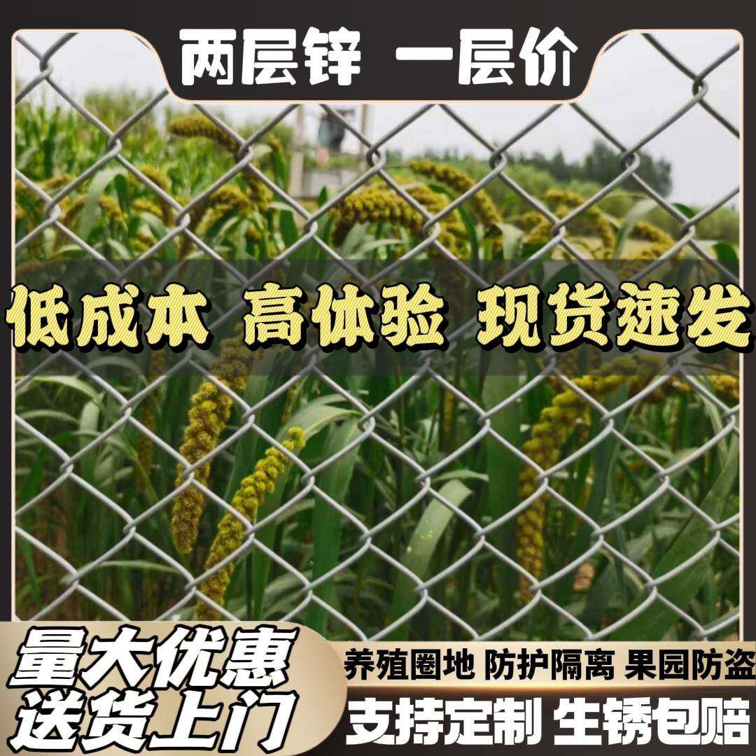 镀锌不生锈铁丝网围栏养鸡防护网钢丝网养殖网果园菜园栅栏护栏网