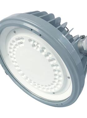 通明电器TORMIN BC9302P LED防爆灯加油站石油化工平台泛光灯具