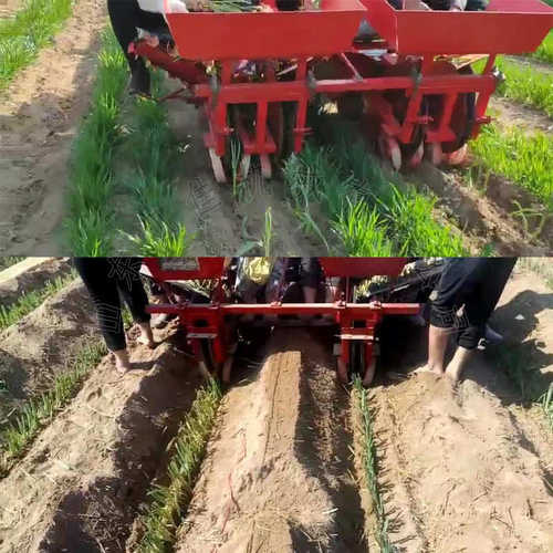 厂家直销座驾式大葱移栽机 乘坐式胡葱山东大葱定植栽葱机 农用葱