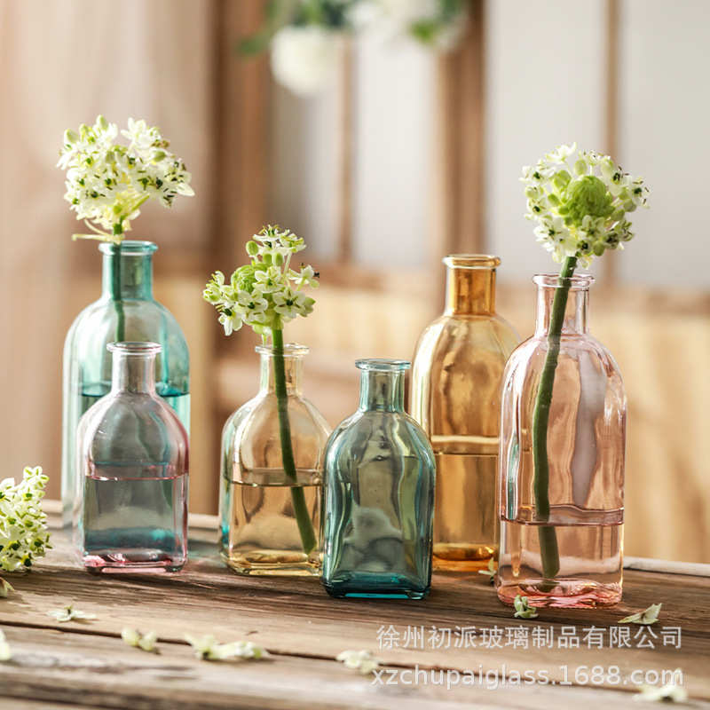 玻璃花瓶彩色透明客厅摆件水培绿植插花器创意家居装饰批发