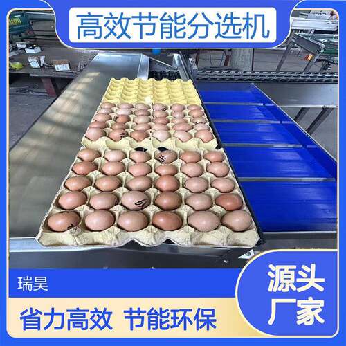 选蛋机鸭蛋分选304不锈钢鸡蛋分级机蛋类按重量大小分拣设备