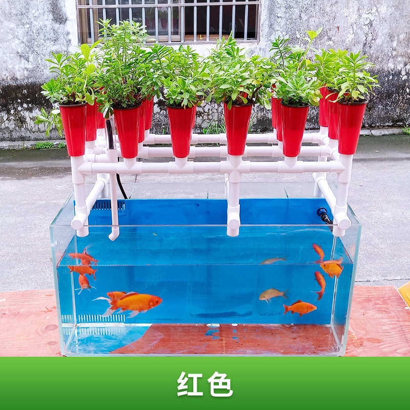 潮汐共生系统架共生鱼种植水培系统种植系统菜玻璃鱼花阳台鱼缸,鲜花速递/花卉仿真/绿植园艺,花盆,淘宝优惠券,粉丝福利购,淘宝优惠卷