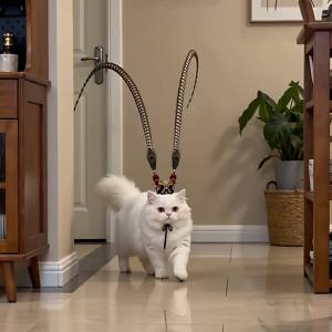 猫咪武安侯头饰逐玉谢征同款齐天大圣紫金冠宠物拍照氛围感道具