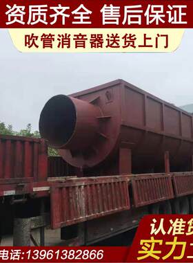 冲管消音器 冲管消声器 管道吹扫消音器 吹扫消音器