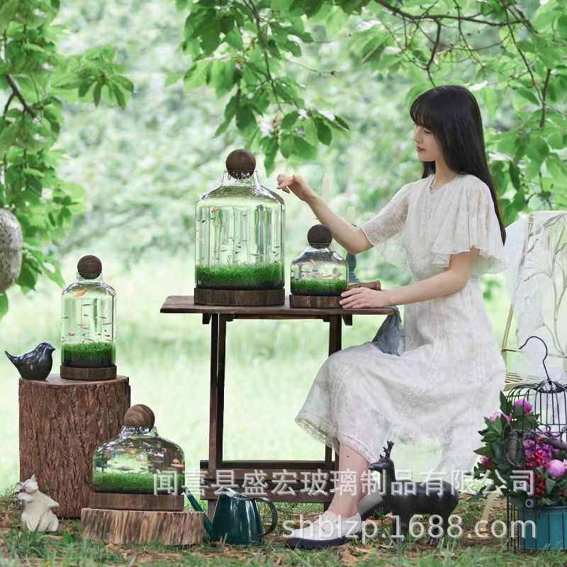 厂家轻奢玻璃鱼缸木托日式创意生态瓶椭圆形生财瓶聚宝盆微景观,家居饰品,花瓶,淘宝优惠券,粉丝福利购,淘宝优惠卷