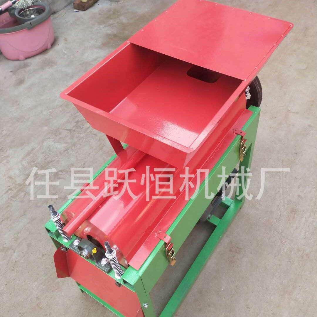 小型青核桃去皮机 薄皮核桃去皮机 山核桃去皮机 鲜核桃剥皮机