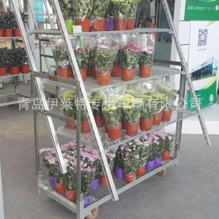 推荐花卉展示车,多花店花车览1350*565摆放,车,花卉层展车花卉