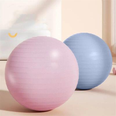 55cm Yoga Ball Anti-Burst Exercise Fitness Equipment for Hom