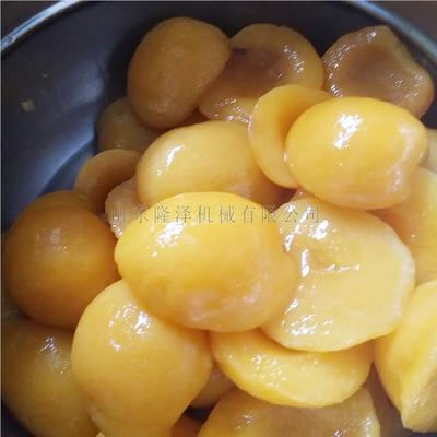 果脯蜜蜜真空糖锅 枣蒸汽浸葡萄干饯浸糖机 各种RGZ浸糖蜜饯多种