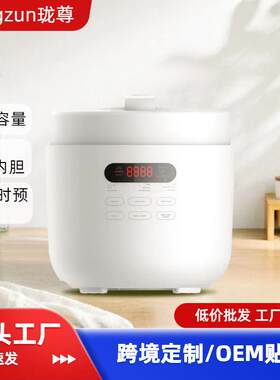 养生电压力锅5L多功能电饭锅家用可预约煲汤无水炖煮功能智能