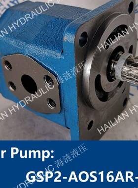 Gear Pump GSP2-AOS16AR hydraulic spares 舱盖油泵船舶液压备件