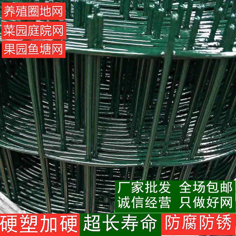 硬塑铁丝网围栏栅栏加厚加粗荷兰网圈地隔离养殖网养鸡鸭小孔室外
