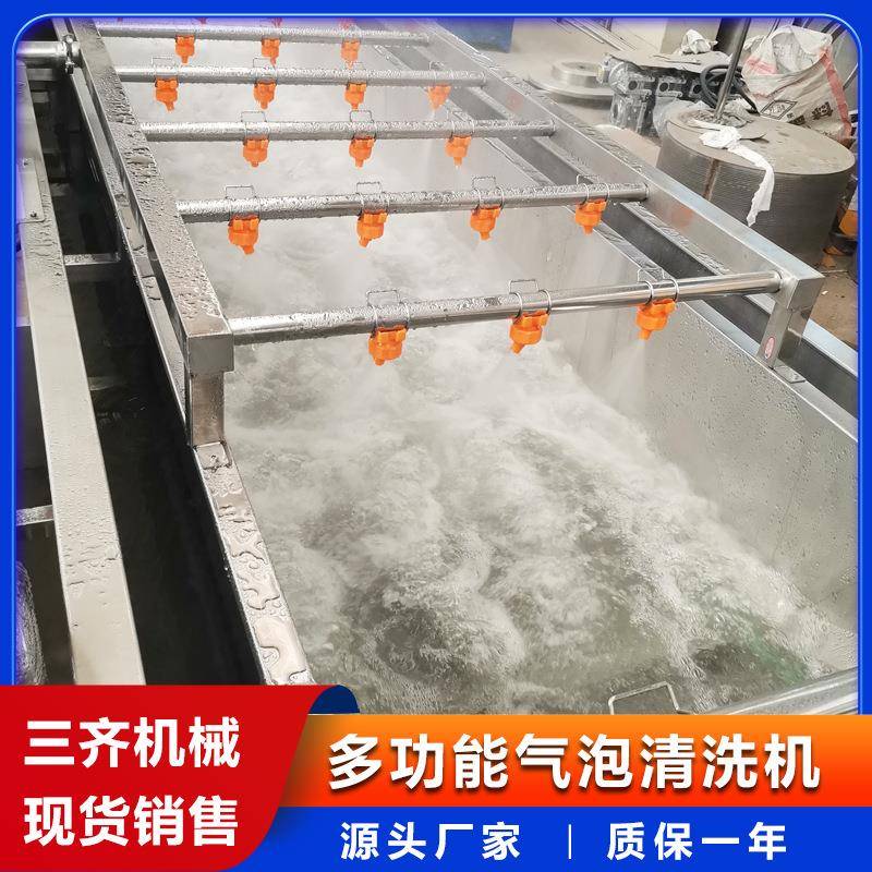 高压喷淋带鱼段清洗机海鲜厂冷冻食品解冻机全自动气泡洗鱼机器