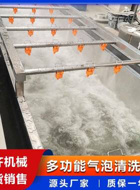 高压喷淋带鱼段清洗机海鲜厂冷冻食品解冻机全自动气泡洗鱼机器