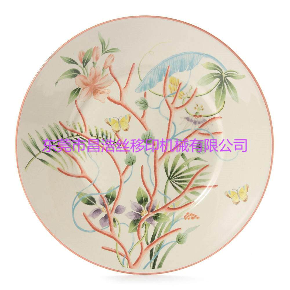 移双陶碗瓷印机色 四陶瓷碗移印ch-3050机 全色自动陶瓷盘转盘移