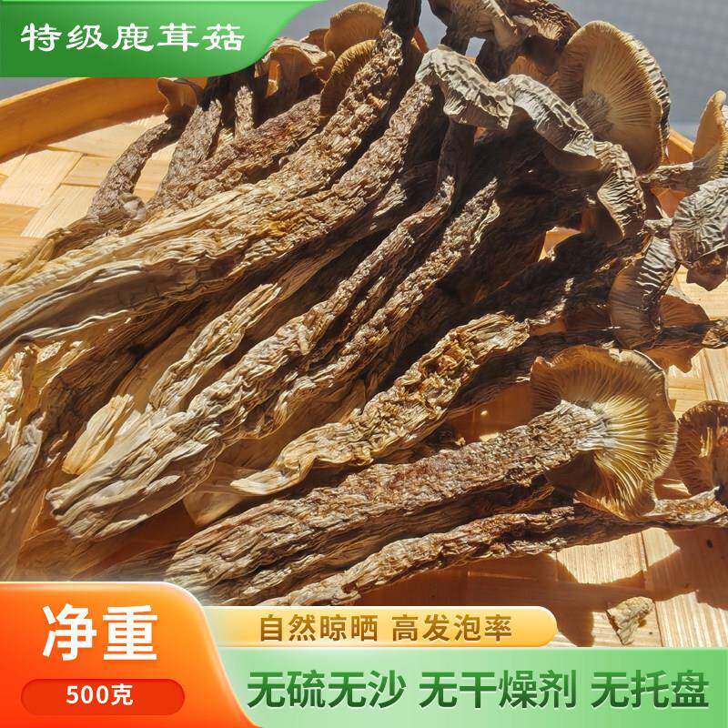 江西土特产农家纯天然精选鹿茸菇干货不嫩包退脆脆菇香菇500g