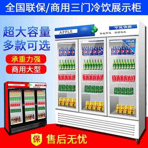 饮料展示柜啤酒柜商用冷藏冰柜双开门冷饮柜单门冷藏立式保鲜柜