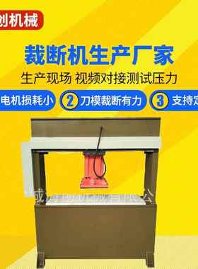 厂家直销XCP-250型液压龙门移动式裁断机移动头下料机