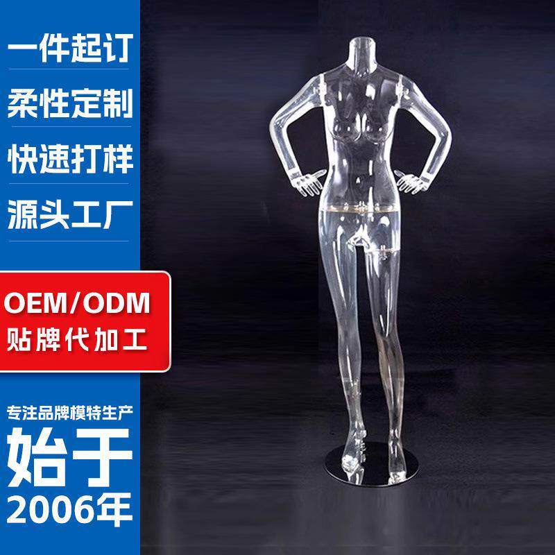 模特全身女装内衣服装店假人半身人体镂空拍摄道具透明塑料模特