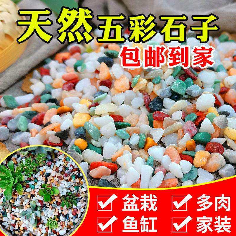 天然五彩花石白小石子多肉铺面鱼缸造景花盆花卉装饰庭院铺路装饰