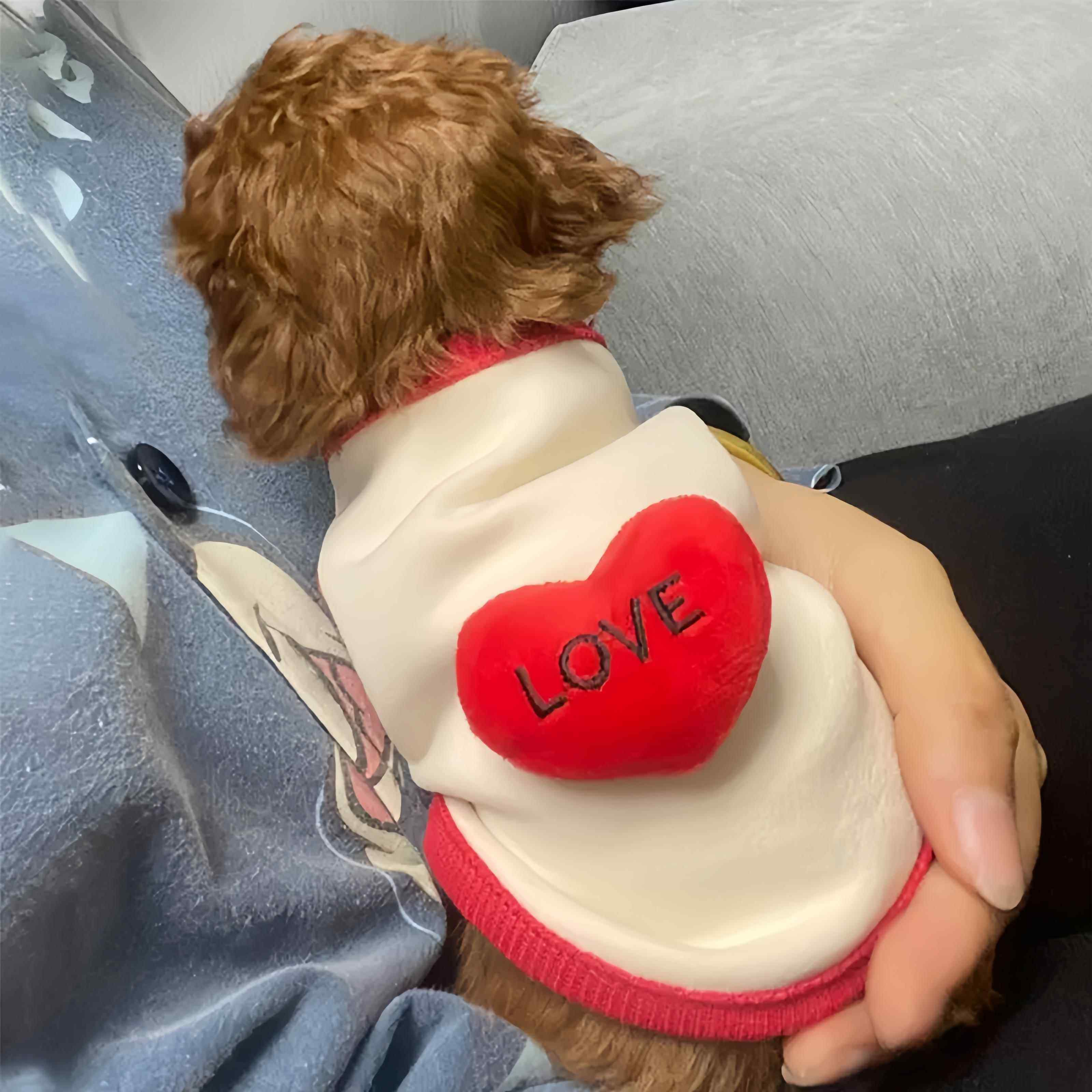 幼犬奶狗衣服小泰迪小狗小体茶杯犬新生奶猫1个2个月小猫保暖背心,宠物/宠物食品及用品,猫宠物服装/雨衣（新）,淘宝优惠券,粉丝福利购,淘宝优惠卷