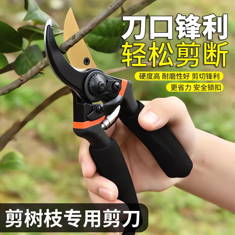 园艺剪修剪树枝专用剪刀盆栽修枝剪子家用粗树枝果树修花专用剪子