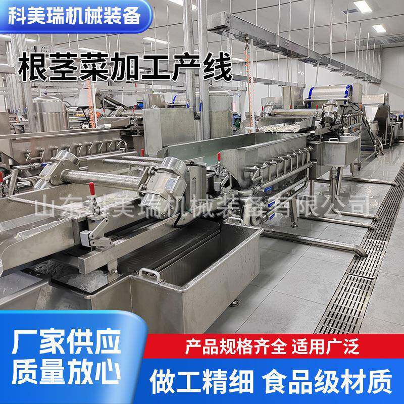 根茎菜加工产线全自动毛辊清洗机根茎菜去皮清洗分拣整套设备