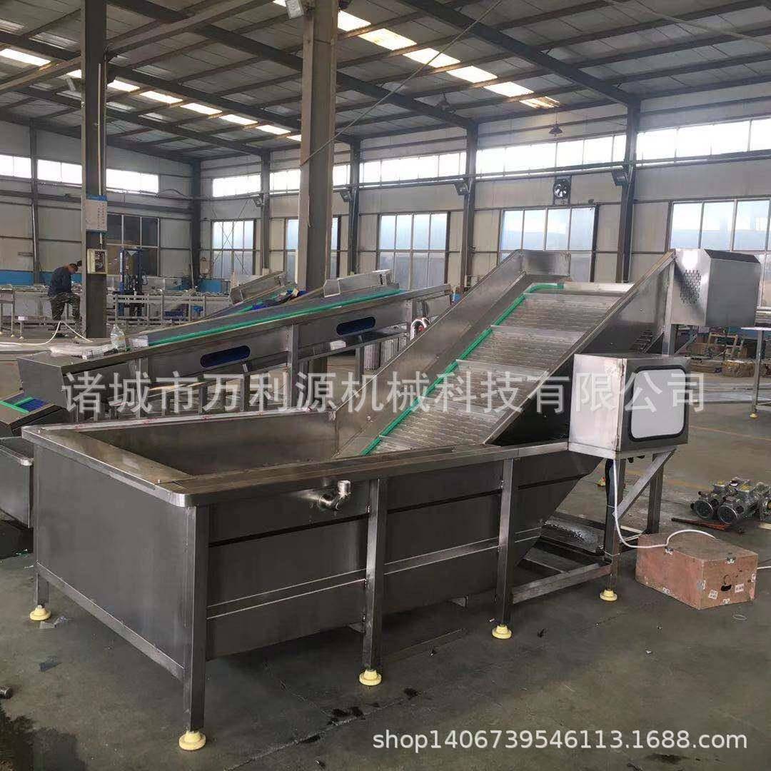 全自动果蔬气泡清洗机冲浪式西红柿清洗线小番茄圣女果清洗设备
