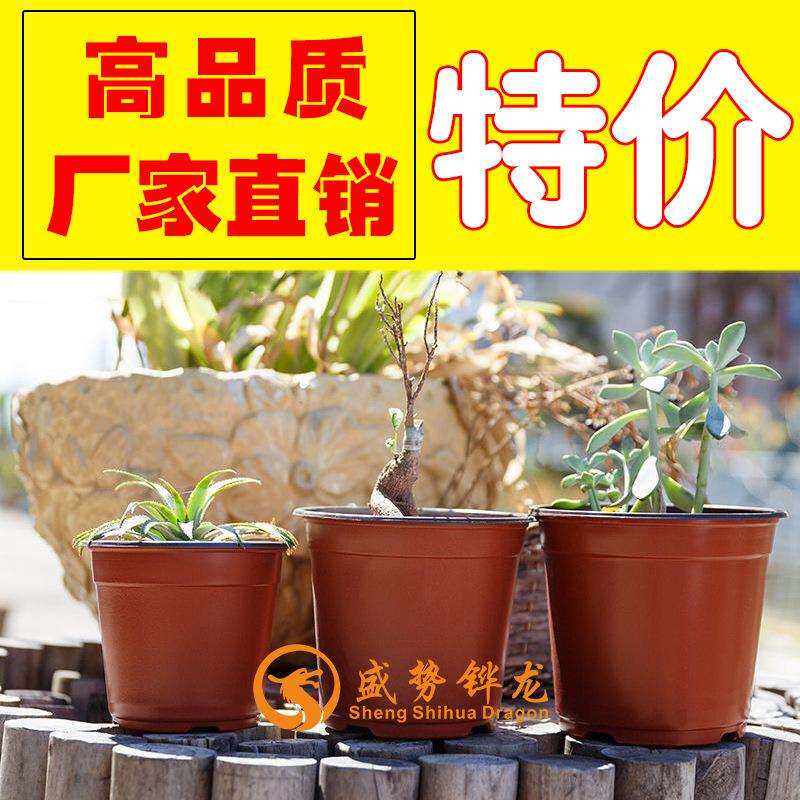 双色花盆优质PP材质摔不坏塑料种植育苗花盆厂家直销