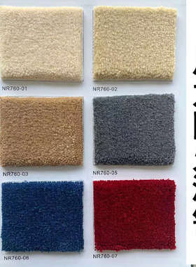 尼龙防火阻燃素色灰色米白红色加厚酒店办公室客厅会议室地毯满铺