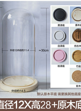 标本玻璃罩卡通永生花玻璃罩摆件玫瑰花束保存瓶活动手办球罩花瓶