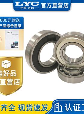 6313E-2Z 洛阳轴承LYC 铁盖深沟球轴承 减速机 电机电器仪表轴承