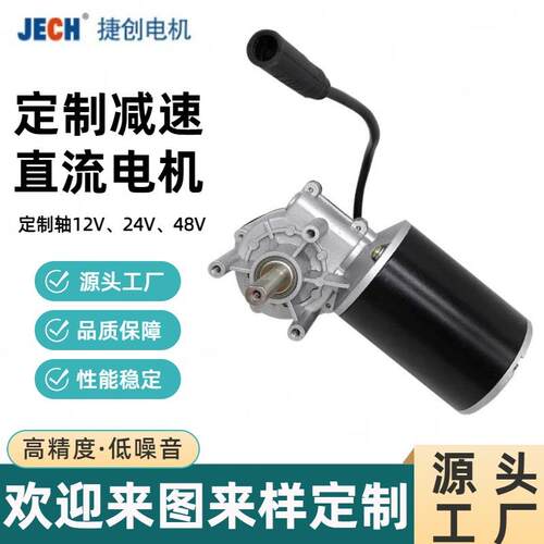来图做轴48V减速电机过滤器直流电机12V24V有刷自锁升降马达电机