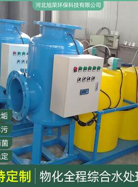 直通物化全程综合水处理器厂家除垢软化水质全自动全程水处理装置