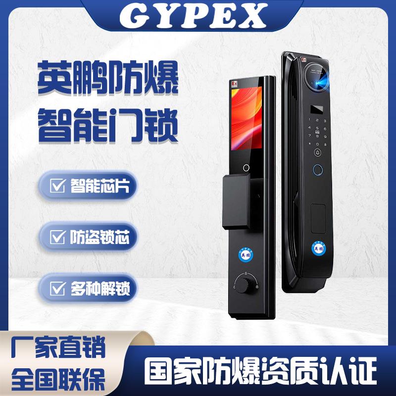 防爆智能门锁 实验室化工厂人脸指纹密码锁防爆电子门禁锁